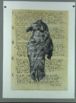 Günther Nussbaumer: Die Muse