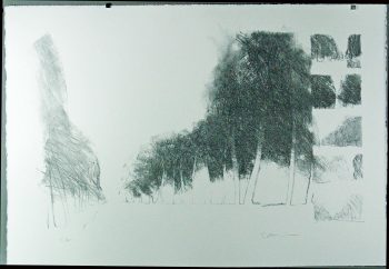 Gottfried Salzmann: Weg