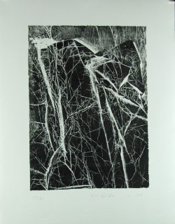 Karl Hartwig Kaltner: Baumstruktur