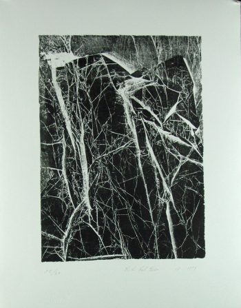 Karl Hartwig Kaltner: Baumstruktur
