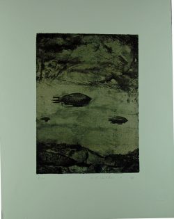 Karl Hartwig Kaltner: Flugkörper