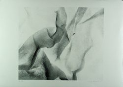 Xiao Hui Wang: Nano 1