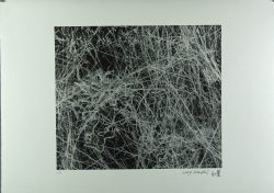 Xiao Hui Wang: Nano 10