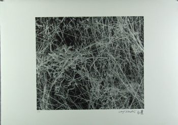 Xiao Hui Wang: Nano 10
