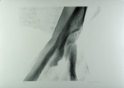 Xiao Hui Wang: Nano 11