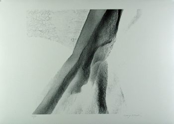 Xiao Hui Wang: Nano 11