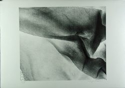 Xiao Hui Wang: Nano 12