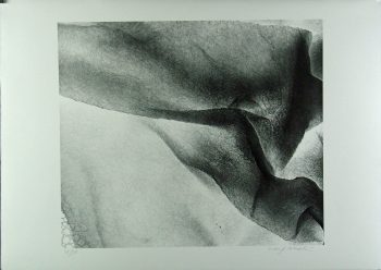Xiao Hui Wang: Nano 12