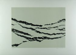 Xiao Hui Wang: Nano 15