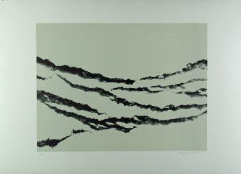 Xiao Hui Wang: Nano 15