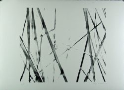 Xiao Hui Wang: Nano 17
