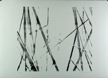 Xiao Hui Wang: Nano 17