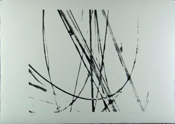 Xiao Hui Wang: Nano 18