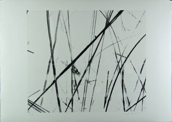 Xiao Hui Wang: Nano 19