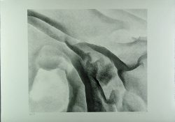 Xiao Hui Wang: Nano 2