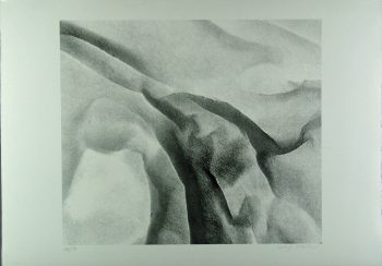 Xiao Hui Wang: Nano 2