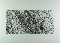 Xiao Hui Wang: Nano 20