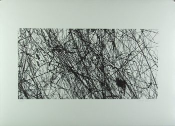 Xiao Hui Wang: Nano 20
