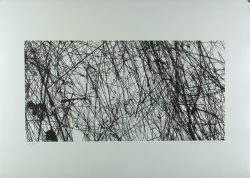 Xiao Hui Wang: Nano 21