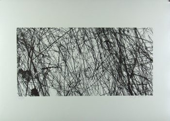 Xiao Hui Wang: Nano 21