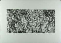 Xiao Hui Wang: Nano 22