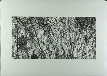 Xiao Hui Wang: Nano 22