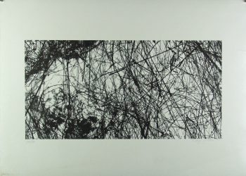 Xiao Hui Wang: Nano 23