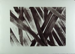 Xiao Hui Wang: Nano 26