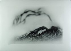 Xiao Hui Wang: Nano 6
