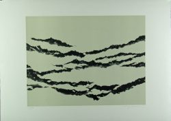 Xiao Hui Wang: Nano 9