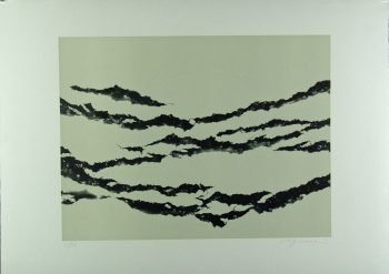 Xiao Hui Wang: Nano 9