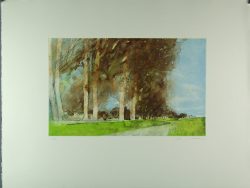 Gottfried Salzmann: Allee