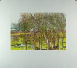 Gottfried Salzmann: Herbstbäume