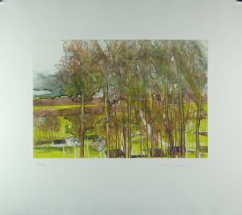 Gottfried Salzmann: Herbstbäume